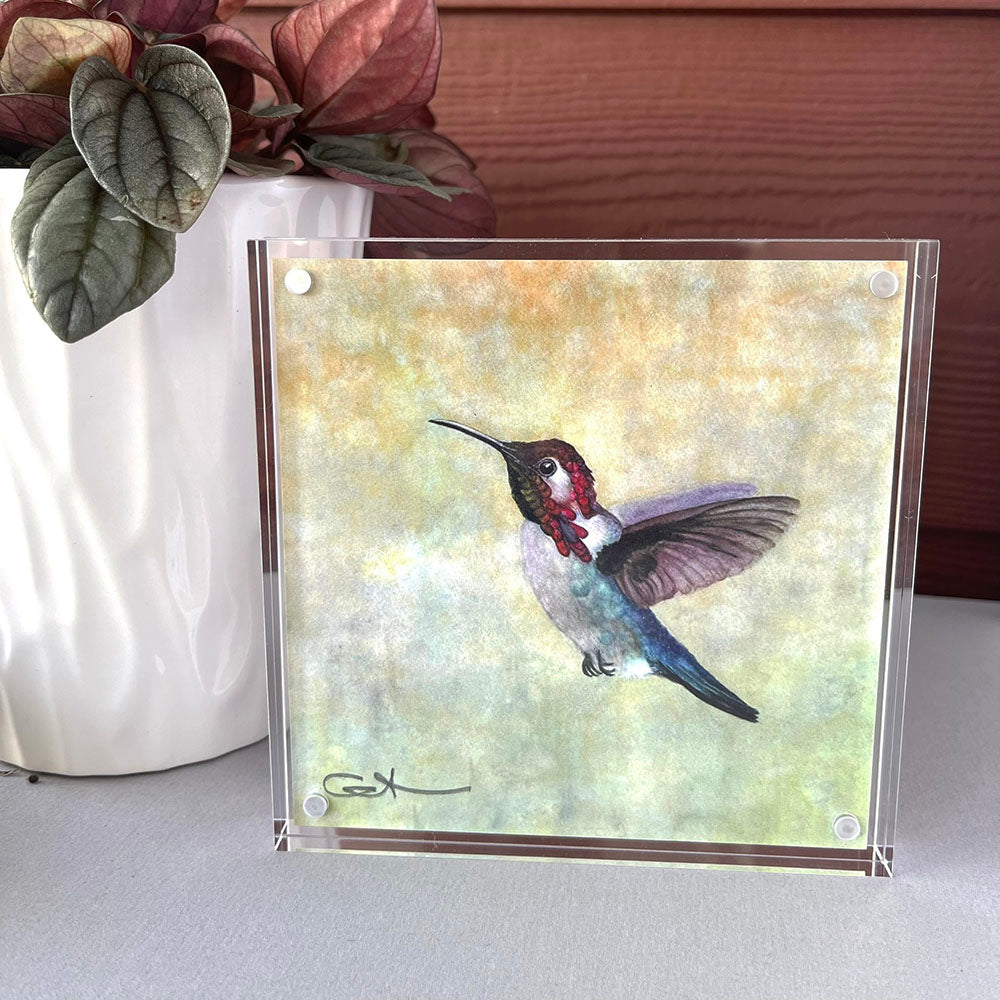 Acrylic block with a hummingbird 