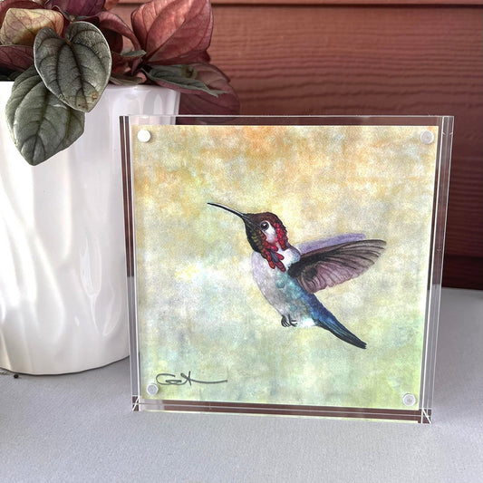 Acrylic block with a hummingbird 