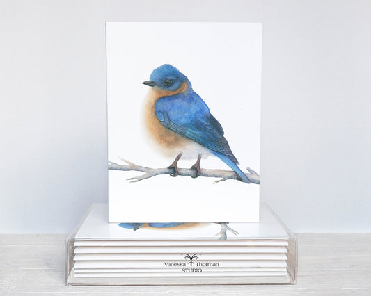 Eastern Bluebird Notecard Set – 8 Blank Folded Cards with Envelopes | A2 Size