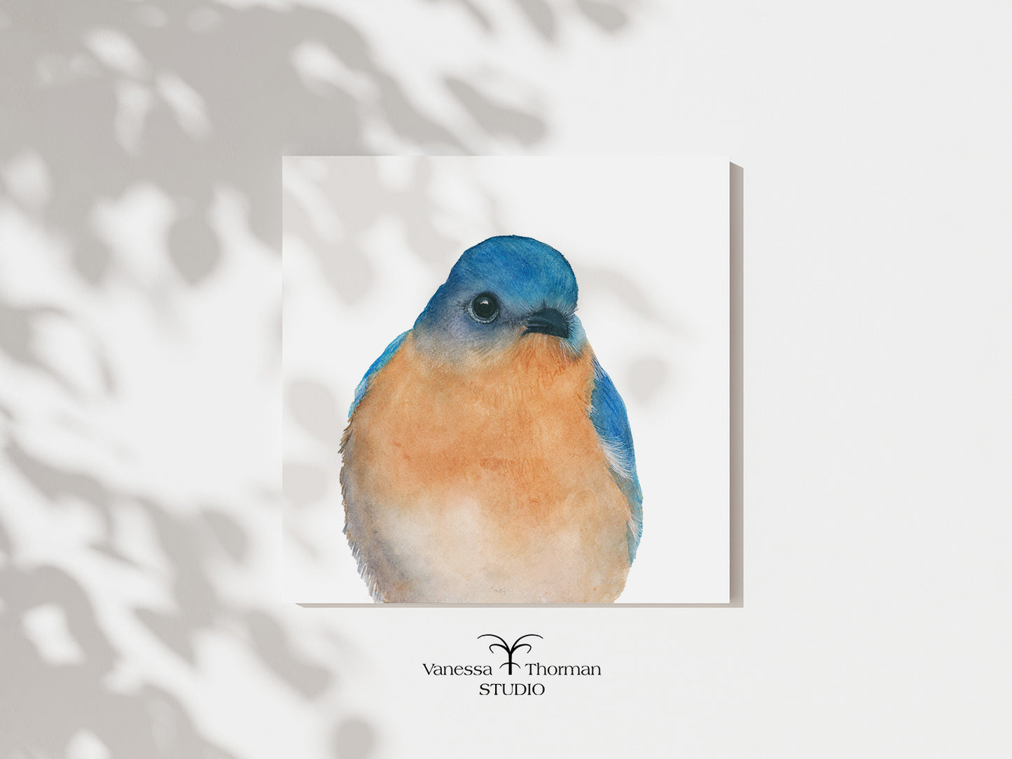 "Bernard," a close-up Eastern Bluebird watercolor art print by Vanessa Thorman, unframed