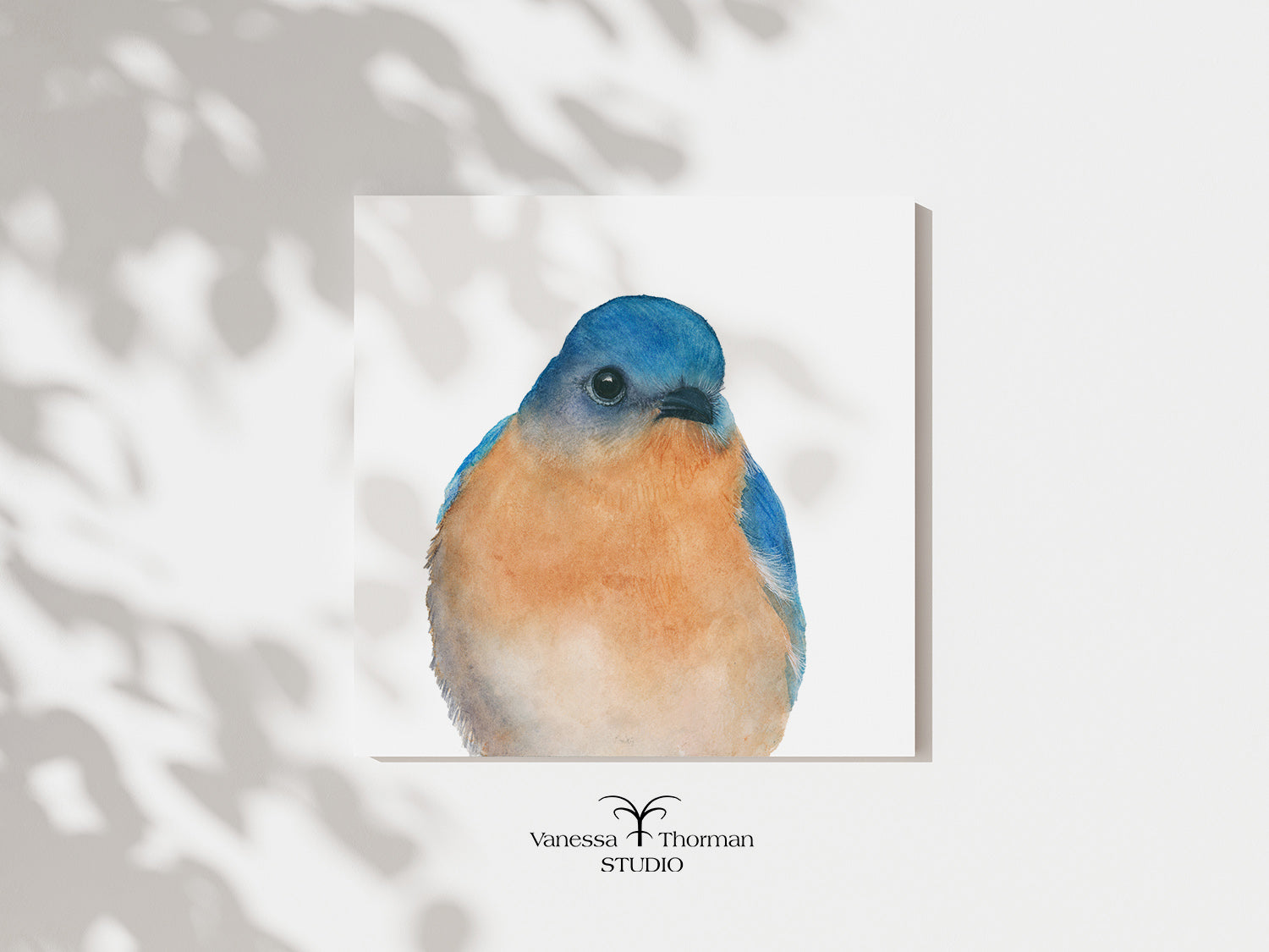 "Bernard," a close-up Eastern Bluebird watercolor art print by Vanessa Thorman, unframed