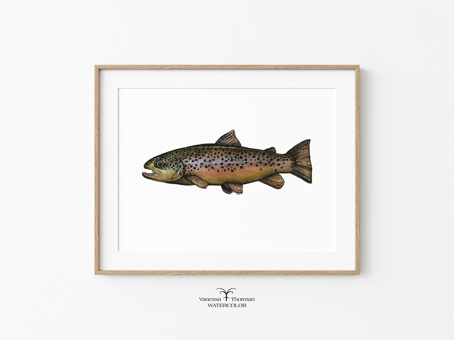 Brown Trout Watercolor Art Print with a white background