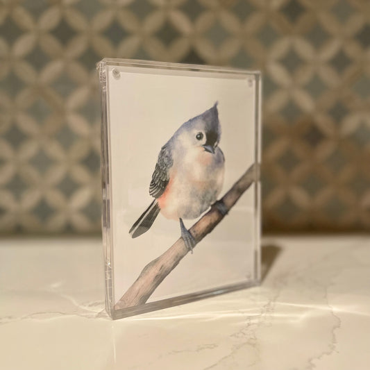 Tufted Titmouse Watercolor Art in Acrylic Block Frame – 5x7 Fine Art Print