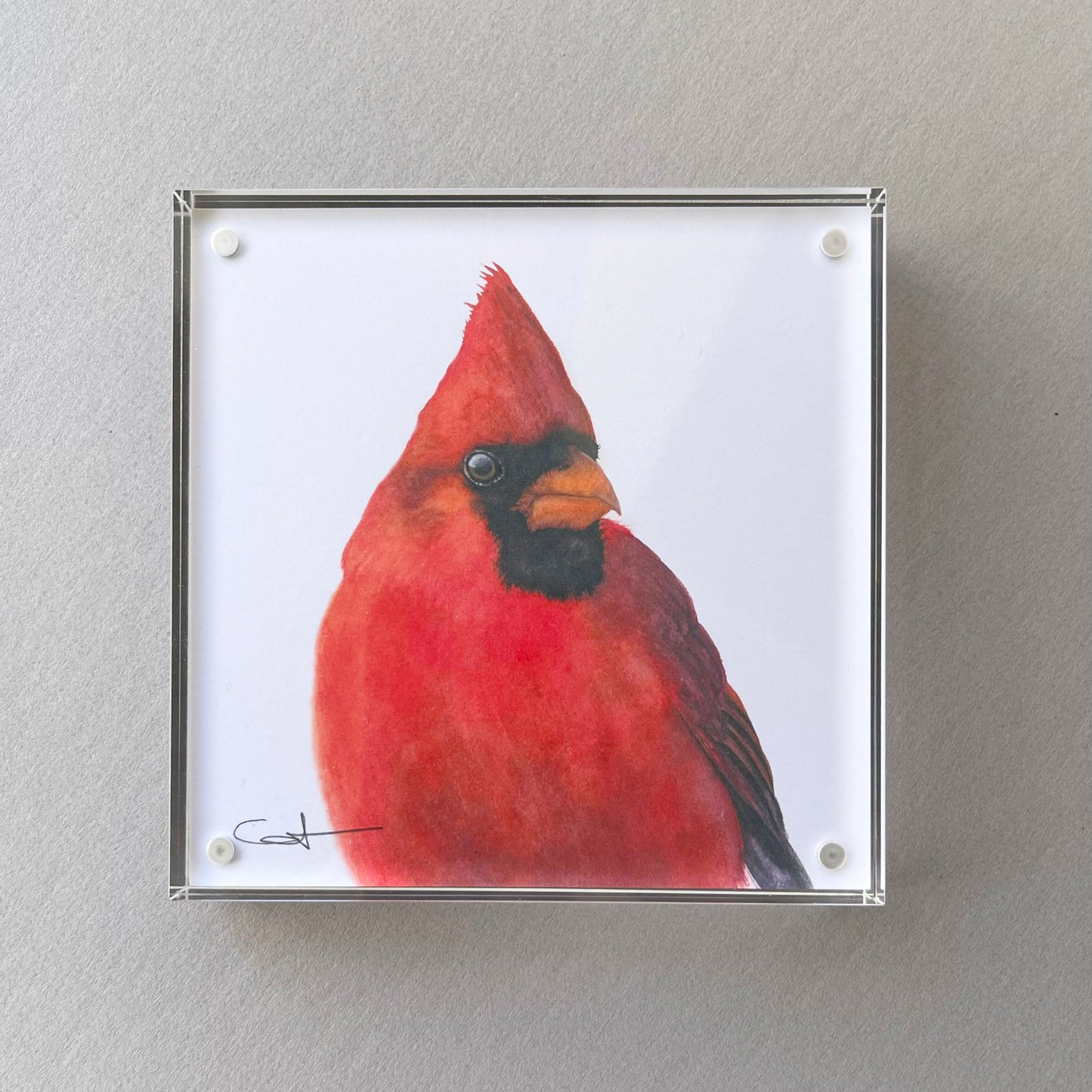 Framed desk art of a red cardinal bird 