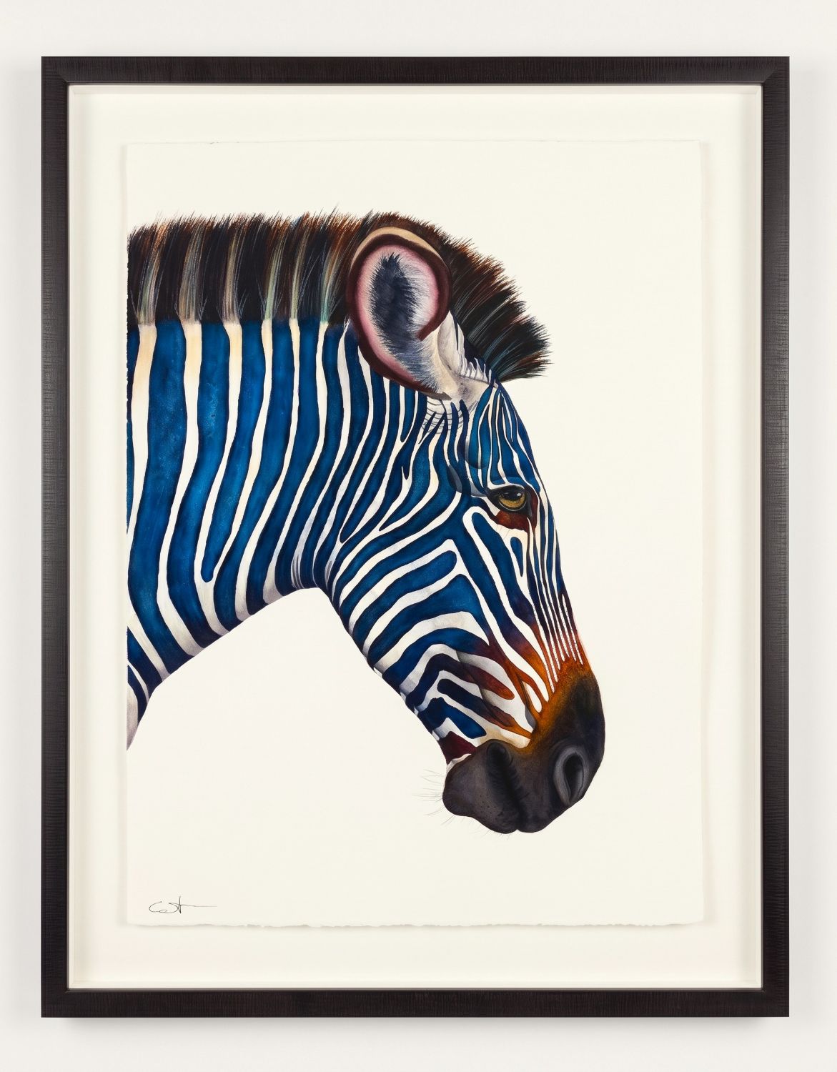 Framed watercolor painting of Caesar, a blue zebra portrait, awith a black frame and white mat, showing a stylized side profile of a zebra head on a white background.
