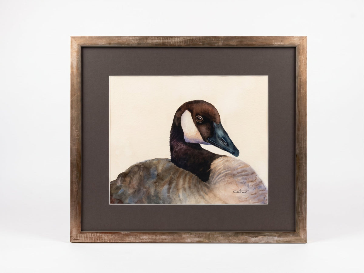 GERARD | Canada Goose Watercolor | Original Watercolor Painting