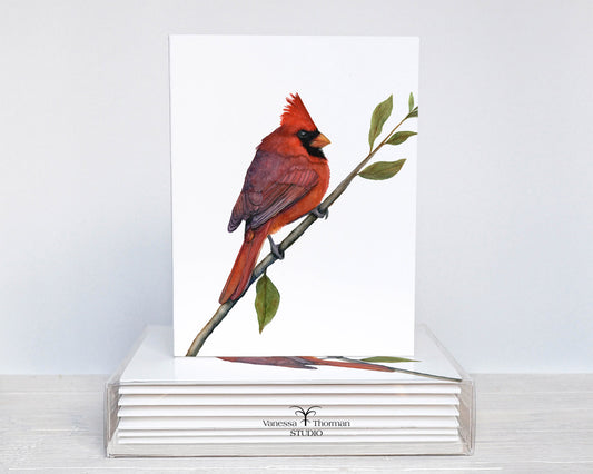 Northern Cardinal Notecard Set – 8 Blank Folded Cards with Envelopes | A2 Size