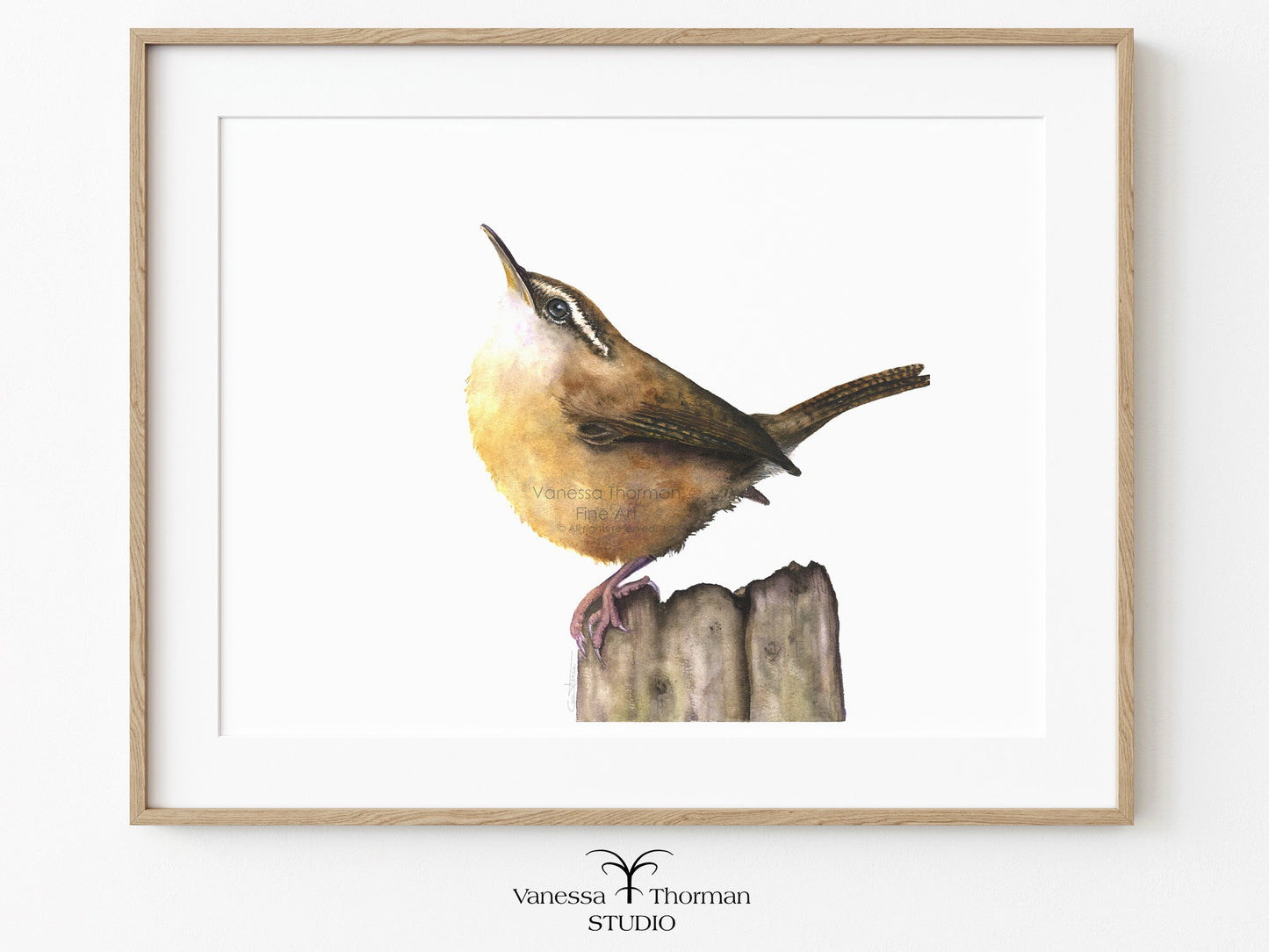 Framed Carolina Wren watercolor art print by Vanessa Thorman