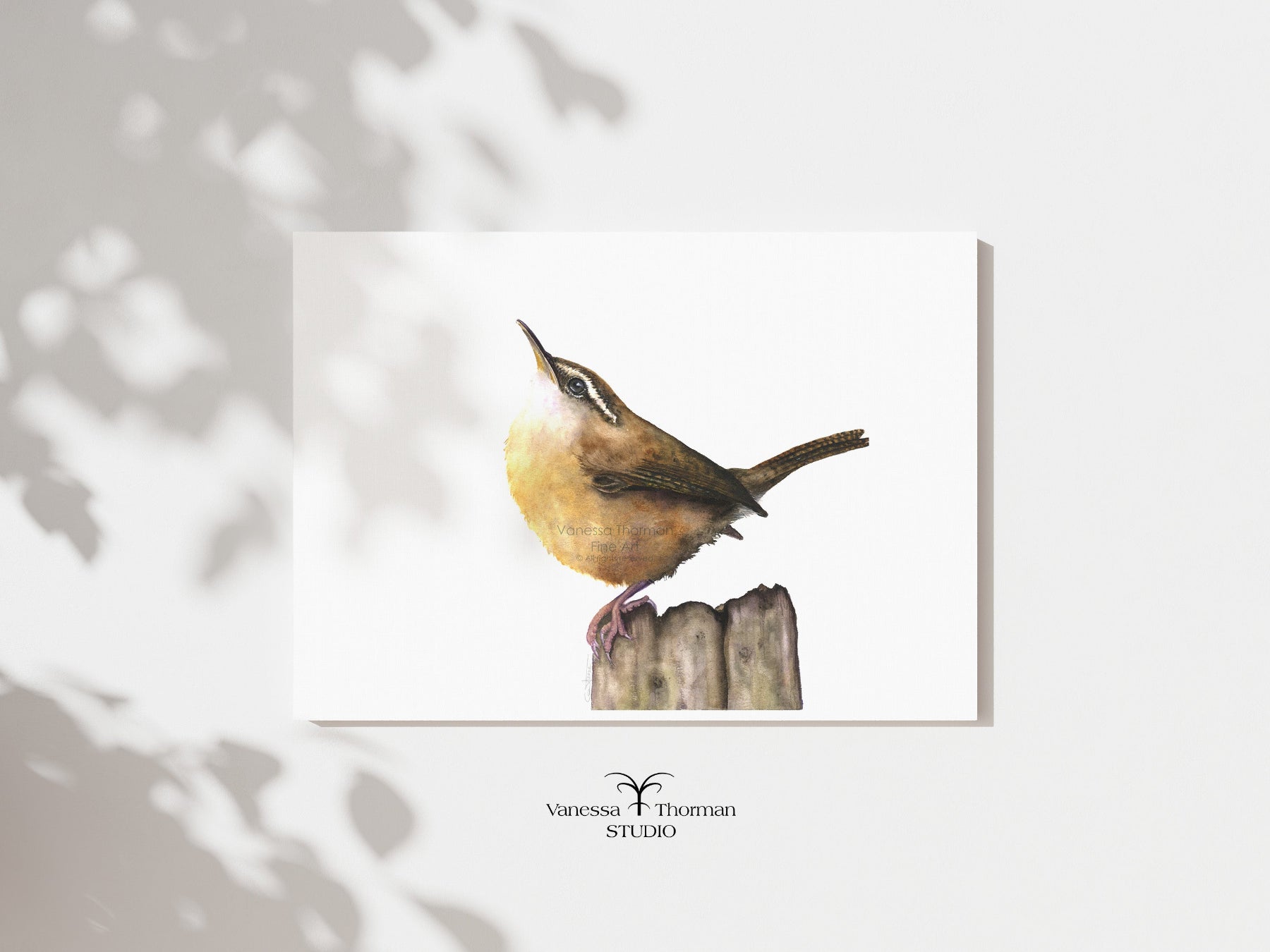 Carolina Wren watercolor art print by Vanessa Thorman, unframed