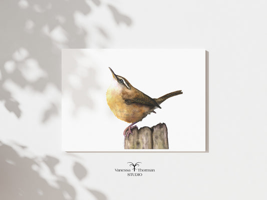 Carolina Wren watercolor art print by Vanessa Thorman, unframed