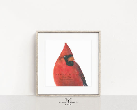 Framed "Charles," a close-up Northern Cardinal watercolor art print by Vanessa Thorman