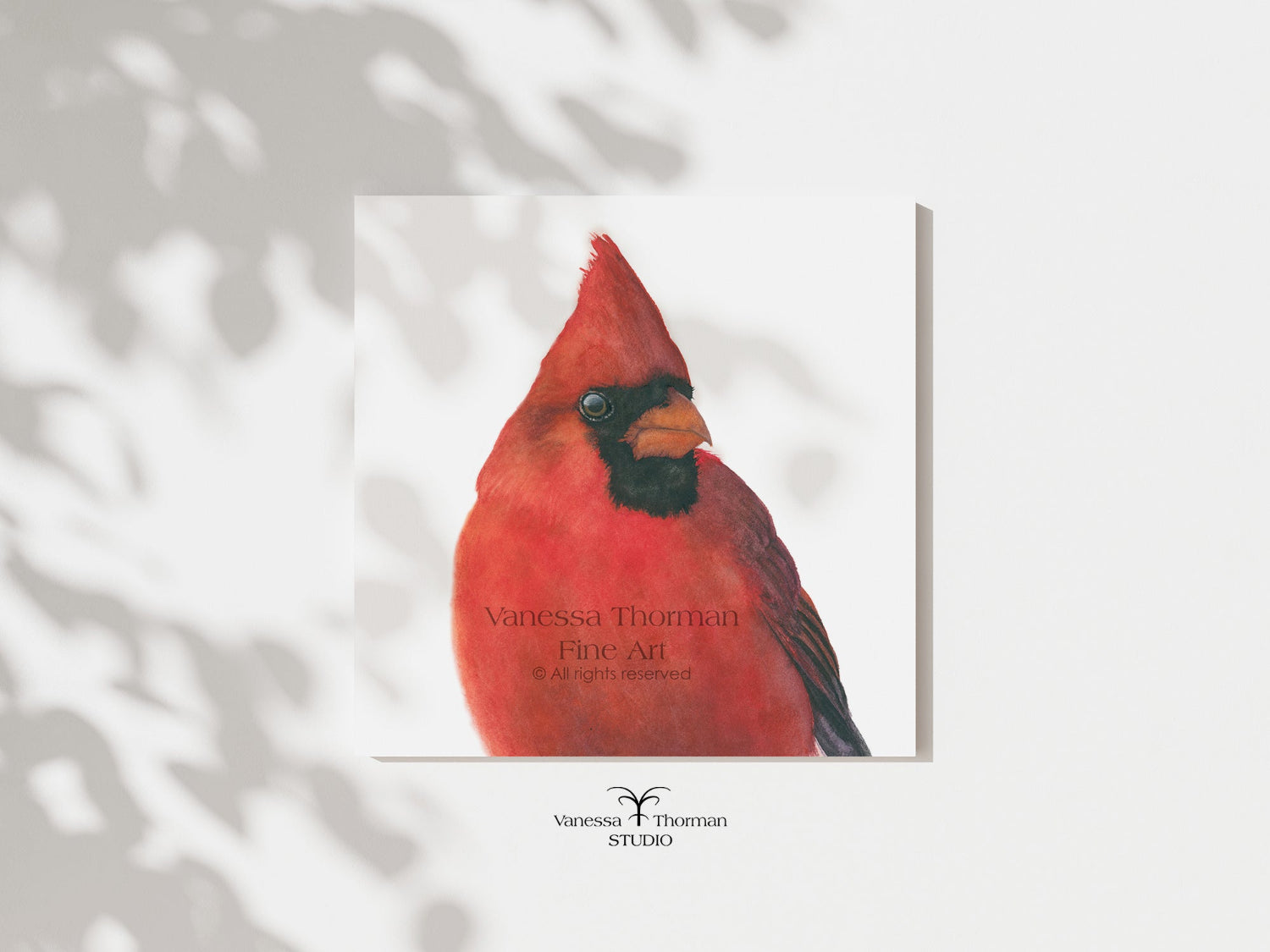 "Charles," a close-up Northern Cardinal watercolor art print by Vanessa Thorman, unframed