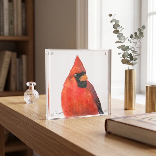 Charles the cardinal acrylic block desk art Displayed on a console table