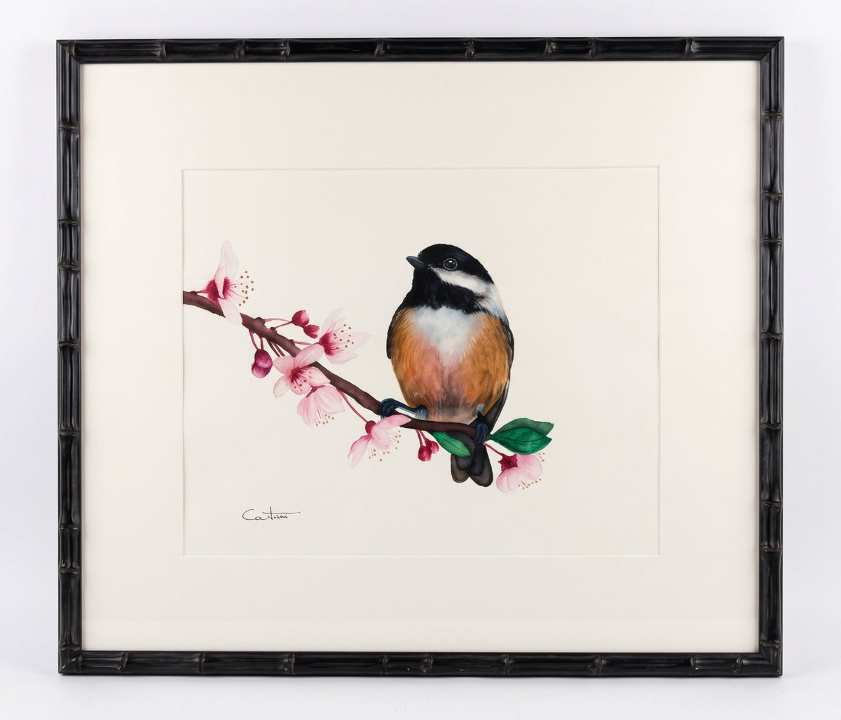 CHICKADEE IN BLOOM | Chickadee Art | Original Watercolor Painting