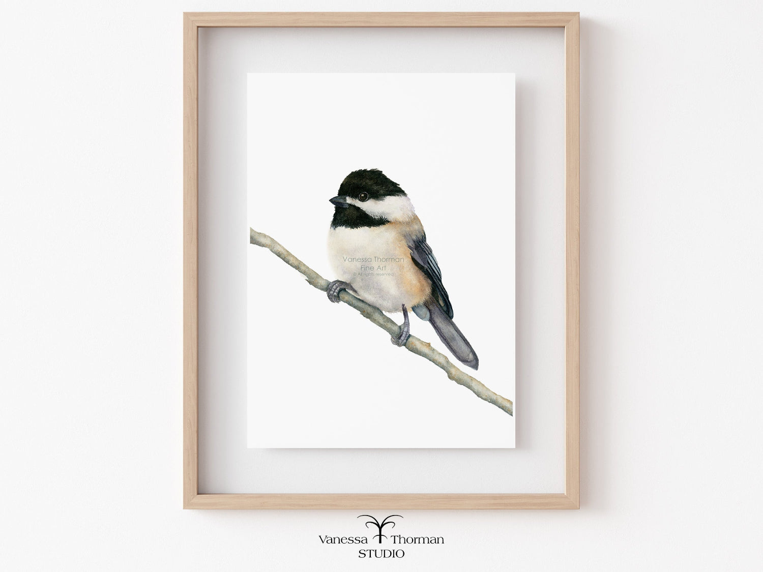 Framed Chickadee watercolor art print by Vanessa Thorman