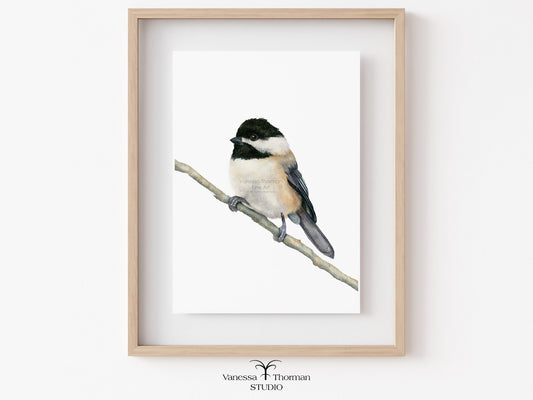 Framed Chickadee watercolor art print by Vanessa Thorman