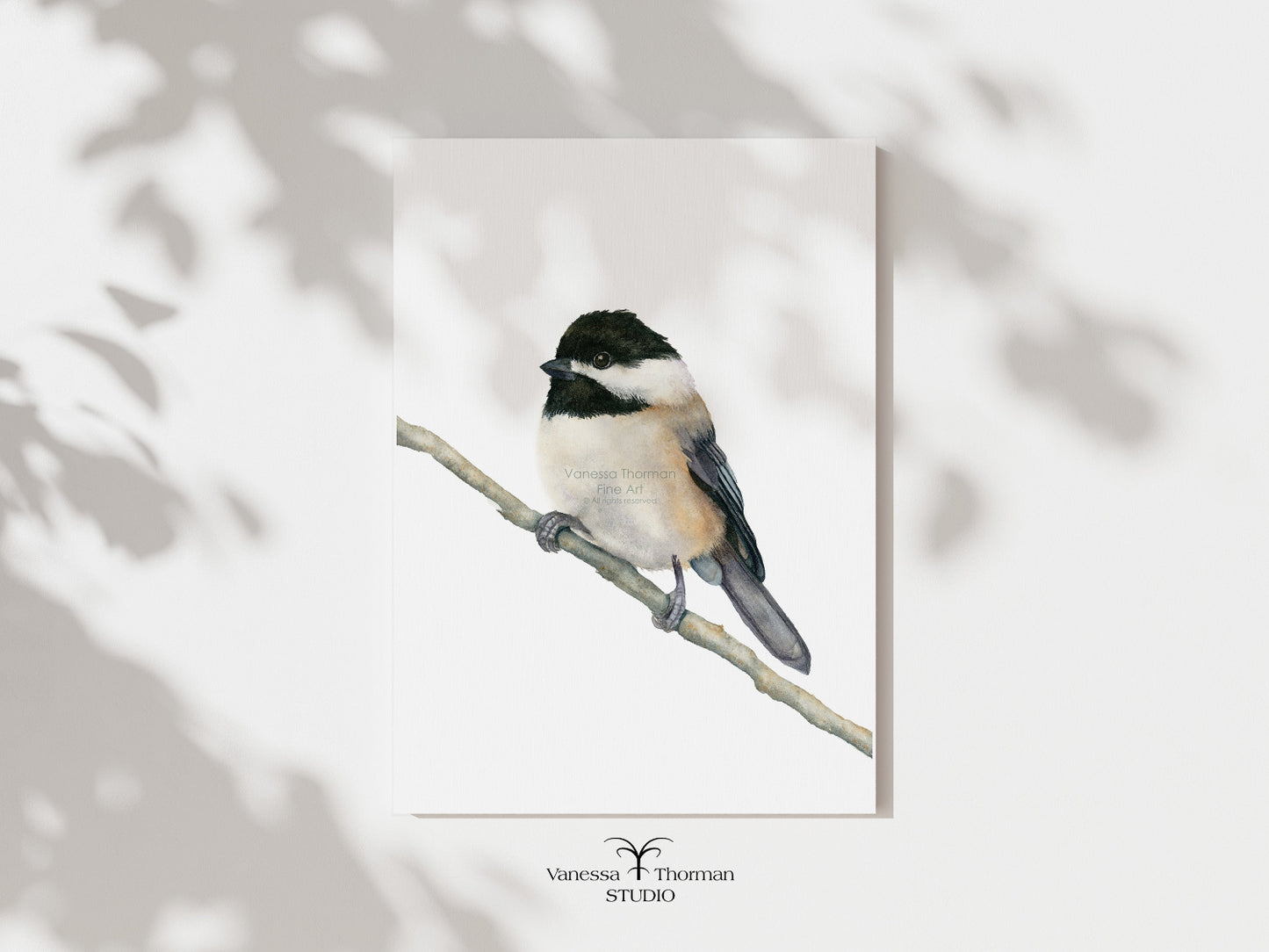 Chickadee watercolor art print by Vanessa Thorman, unframed