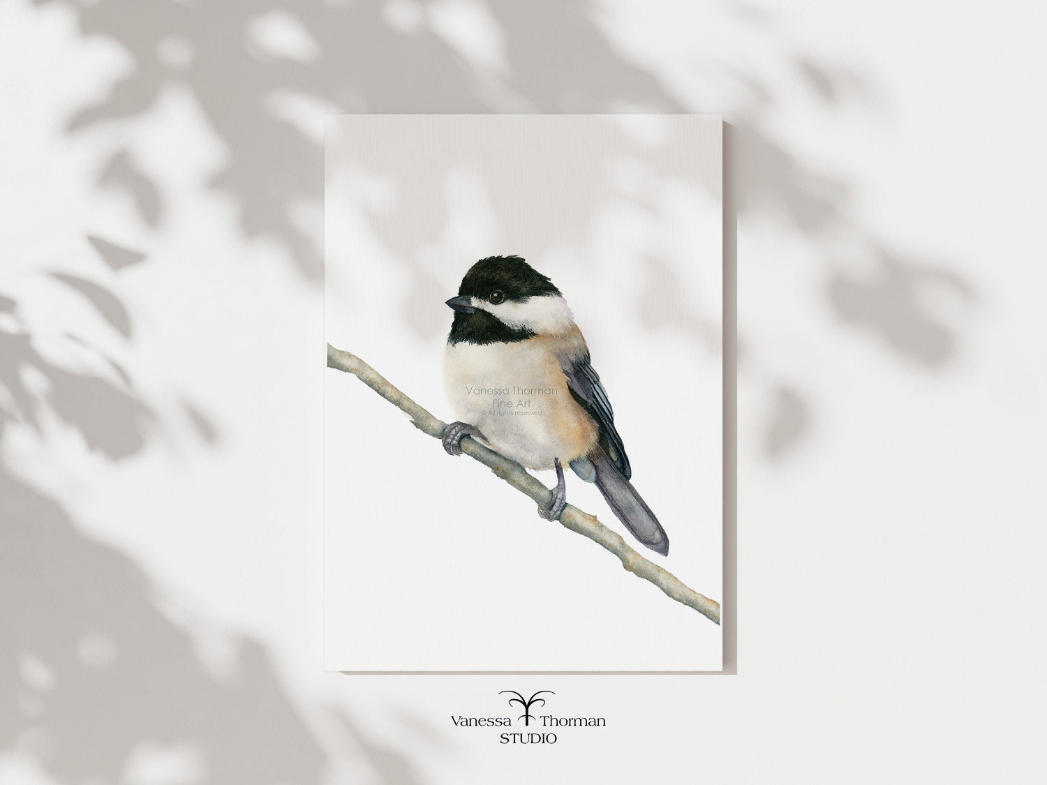 Chickadee watercolor art print by Vanessa Thorman, unframed