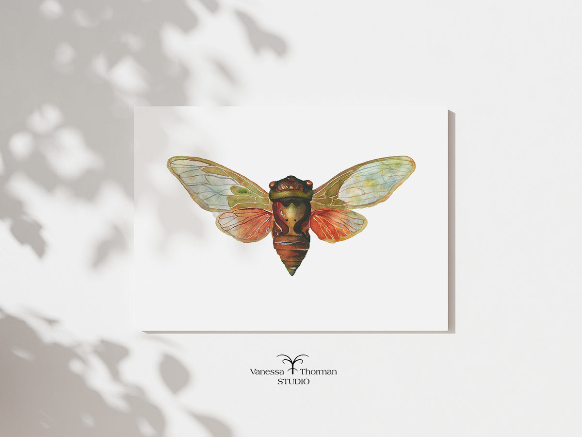 Cicada watercolor art print by Vanessa Thorman, unframed