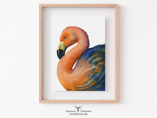 Framed Coral Flamingo watercolor art print with a white background by Vanessa Thorman
