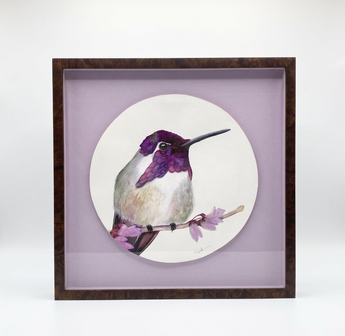 A watercolor portrait of a Costas Hummingbird with a lavender mat and dark wood frame