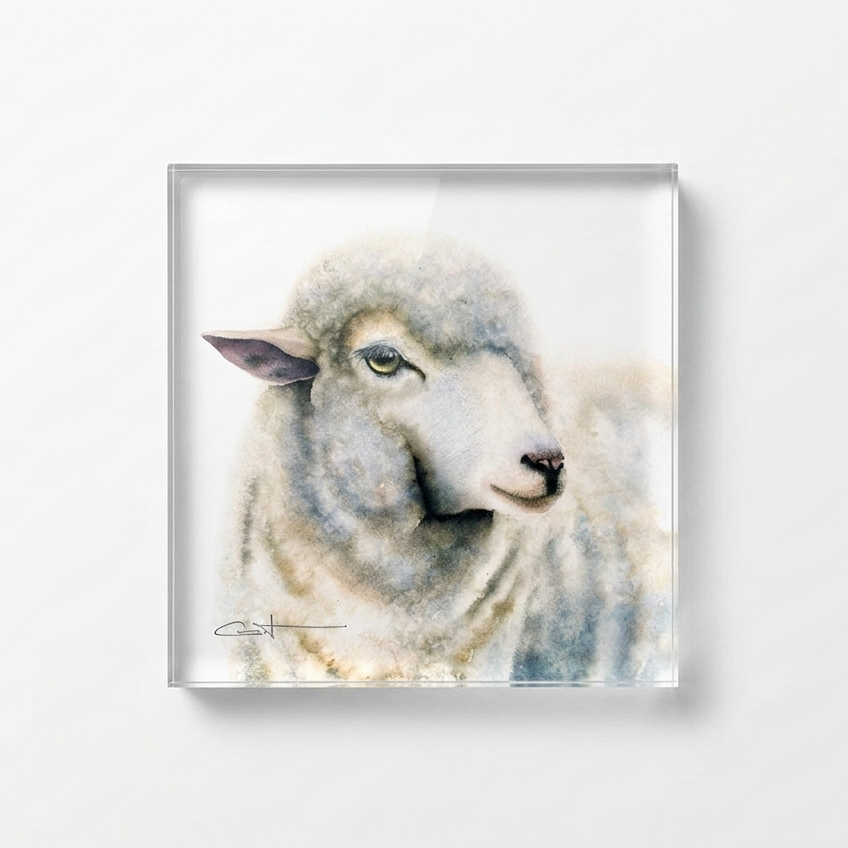 Duchess the sheep acrylic block desk art, front view 