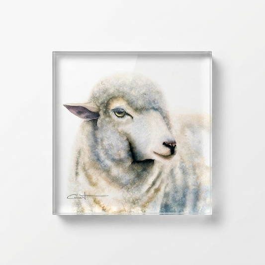 Duchess the sheep acrylic block desk art, front view 