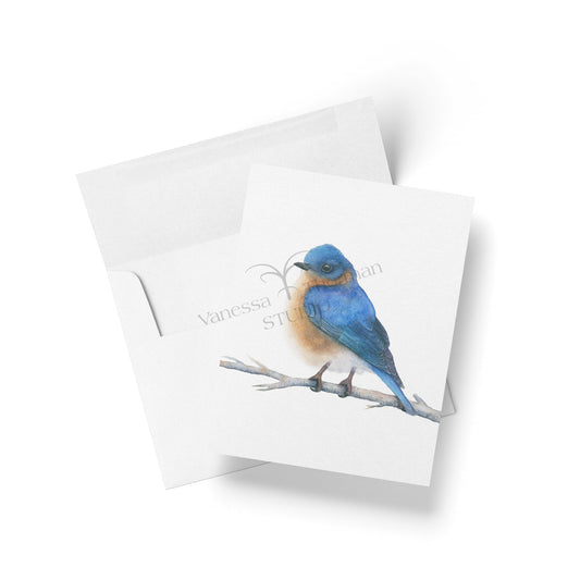 Eastern Bluebird Watercolor Notecard and Envelope