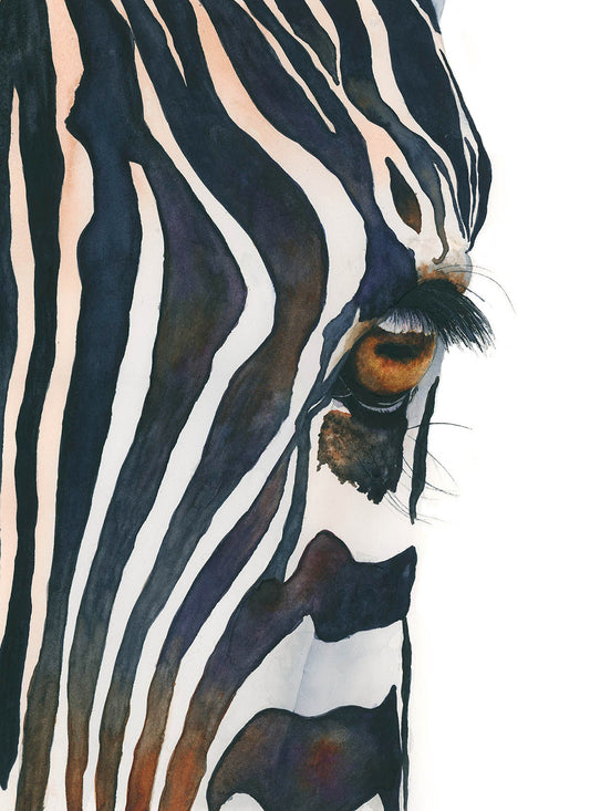 Close-up of "Eye of the Beholder" zebra eye watercolor art print, black and white stripes, by Vanessa Thorman