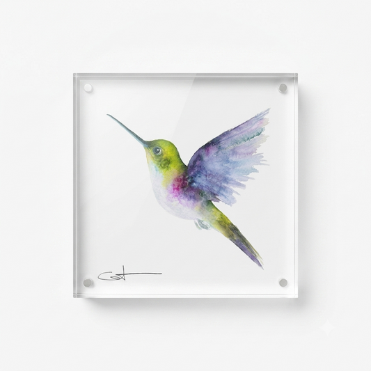 Fiona the Hummingbird acrylic block desk art, front view