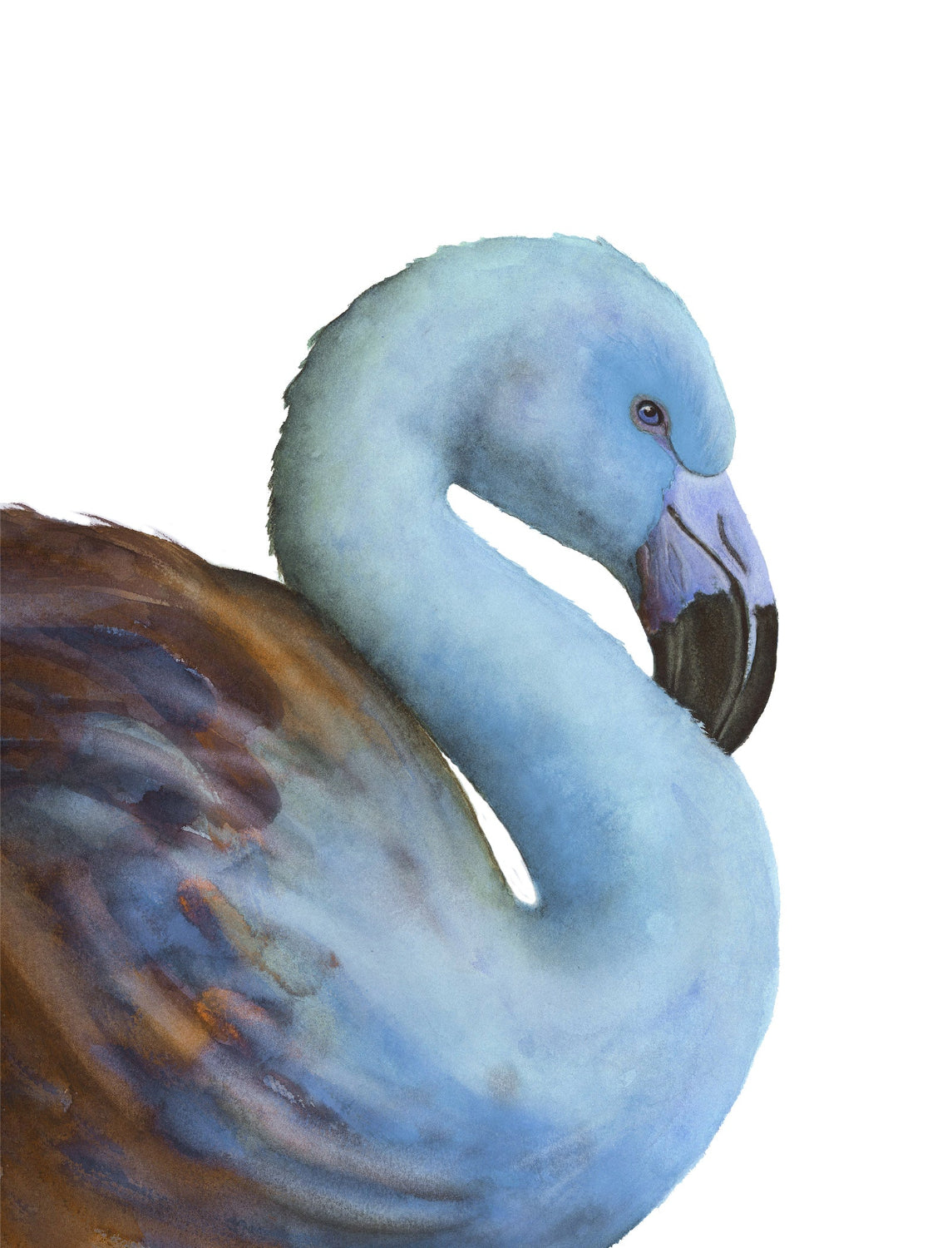 Blue flamingo on a white background