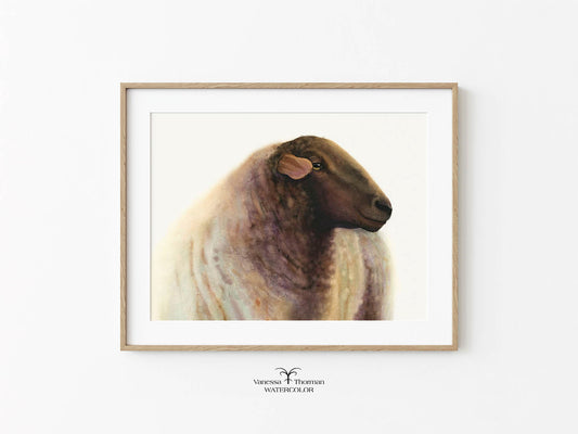 Art-Print.jpg	Framed "Theo" sheep watercolor art print by Vanessa Thorman