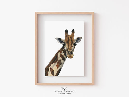 Giraffe Watercolor Art Print "Jasper" on a plain background in a simple frame
