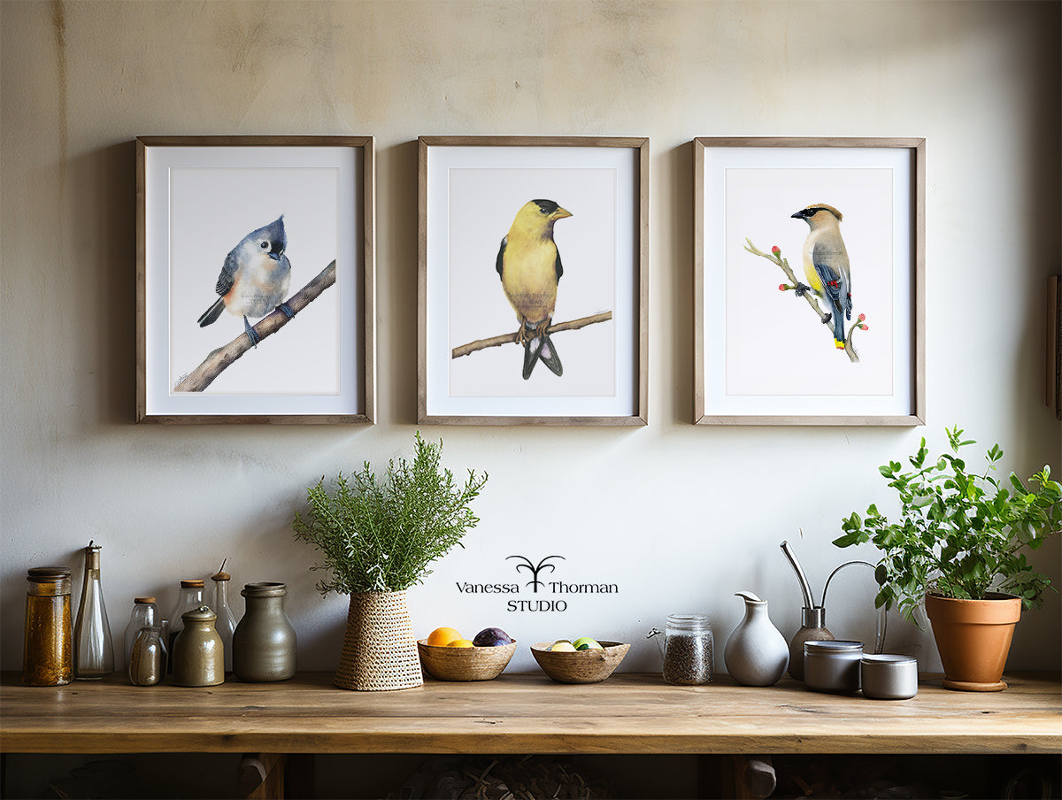 Three framed bird prints on a wall above a wooden table with decorative items.