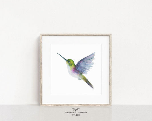Framed Hummingbird in flight watercolor art print by Vanessa Thorman