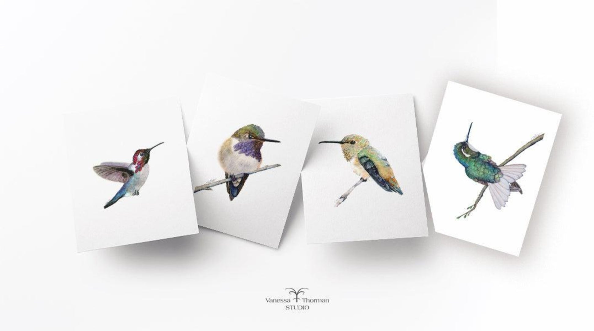 Four hummingbird watercolor notecard designs: Volcano, White-eared, Bee, and Rufous