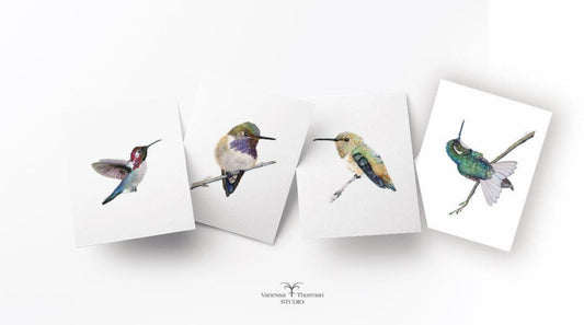 Four hummingbird watercolor notecard designs: Volcano, White-eared, Bee, and Rufous