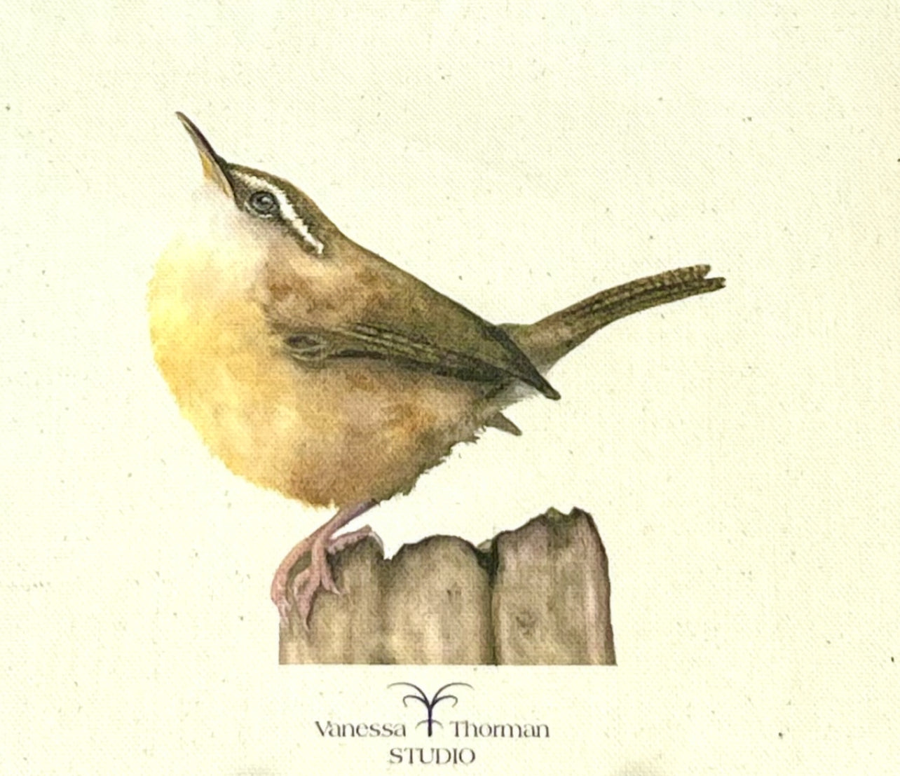 Carolina Wren Canvas Travel Pouch - Zippered Bag with Wren Art | Small or Large Size