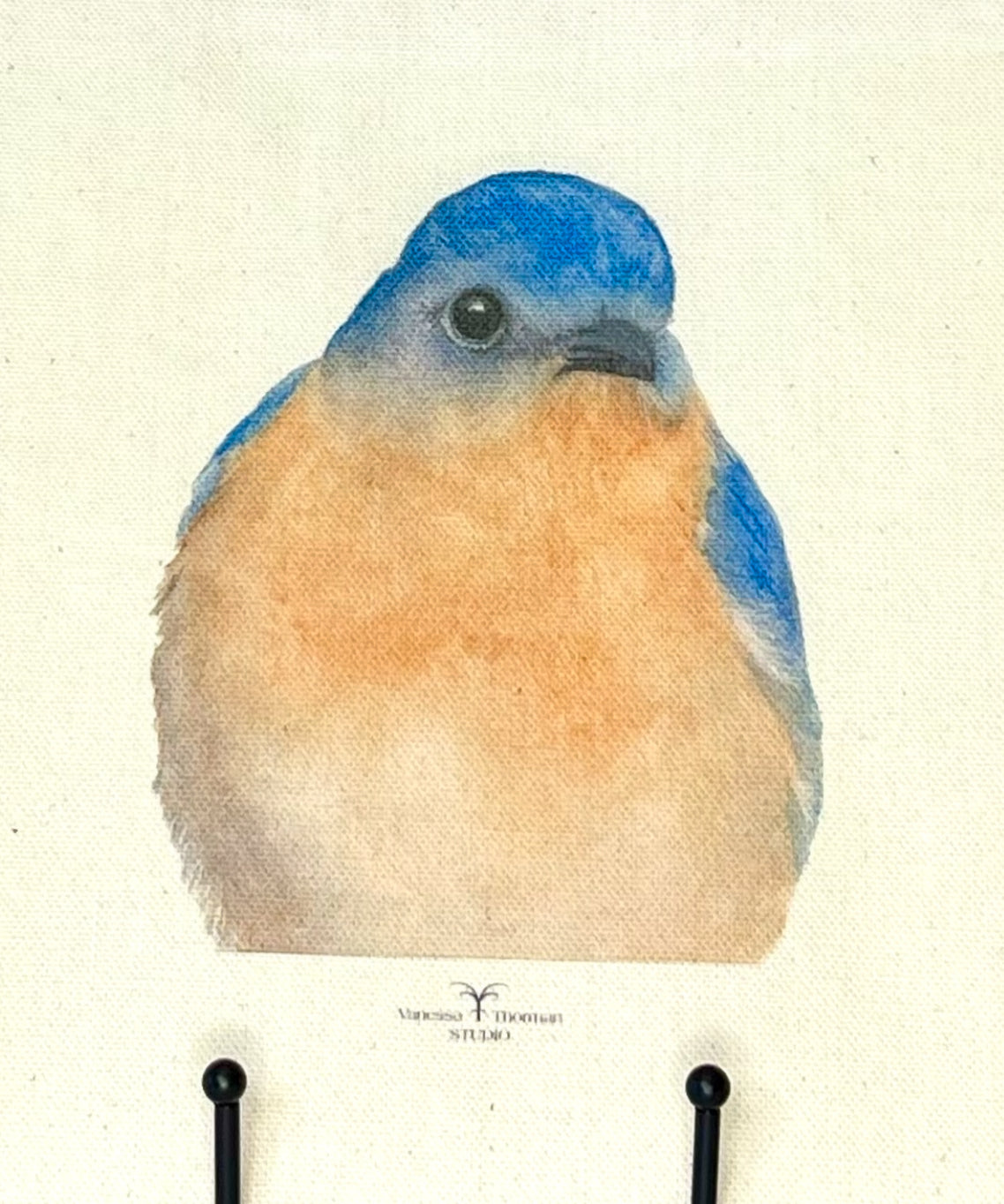Bluebird Canvas Travel Pouch – Zippered Bag with Bluebird Art | Small or Large Size
