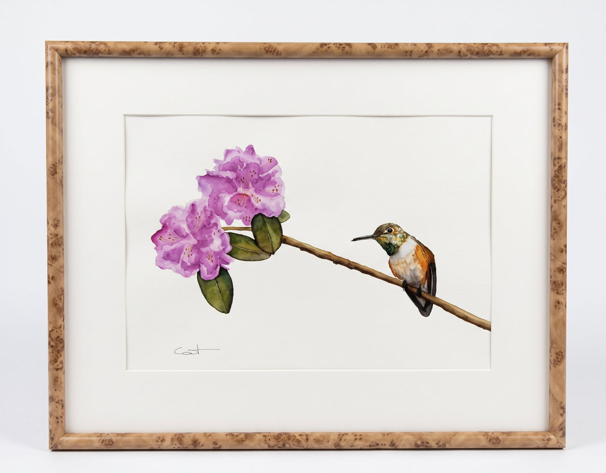 IN FULL BLOOM | Rufous Hummingbird Art | Original Watercolor Painting