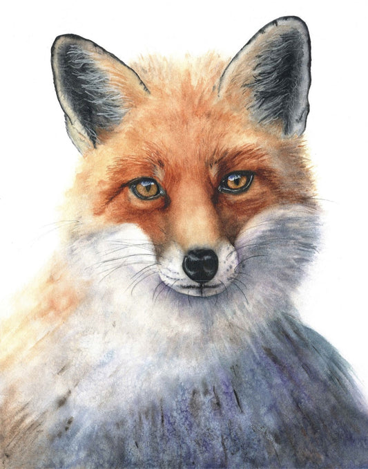 "Italian Fox Portrait" watercolor art print by Vanessa Thorman, detailed view