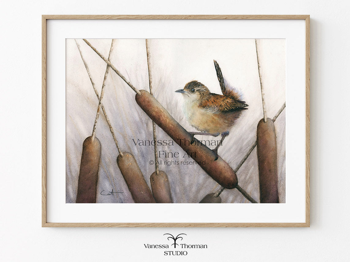 Framed Marsh Wren watercolor art print by Vanessa Thorman