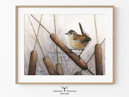Framed Marsh Wren watercolor art print by Vanessa Thorman