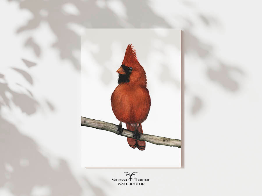 Male Cardinal Watercolor Art Print — Percy, Northern Cardinal