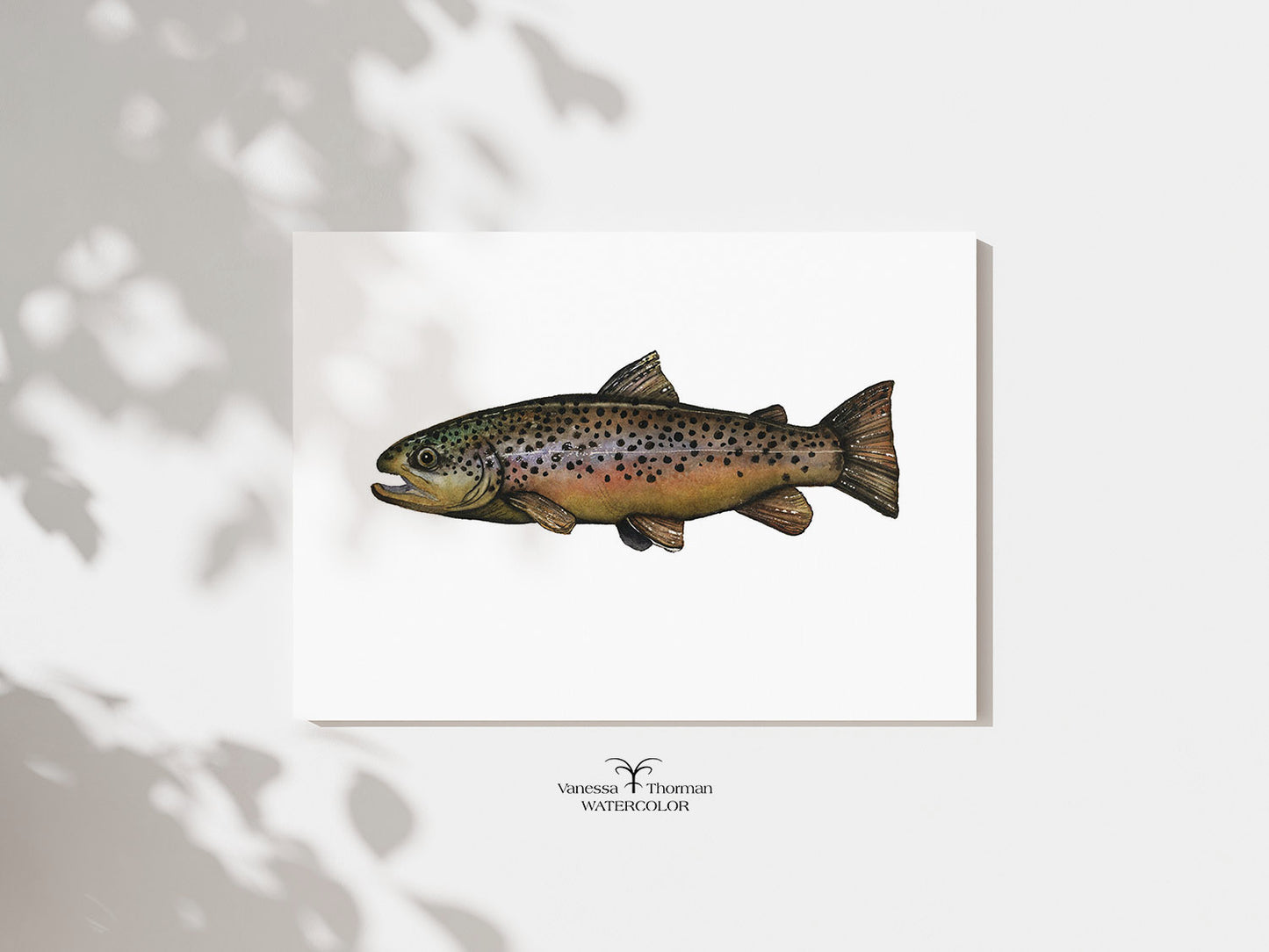 Brown Trout I | Trout Watercolor Art Print | Fish Art Giclée