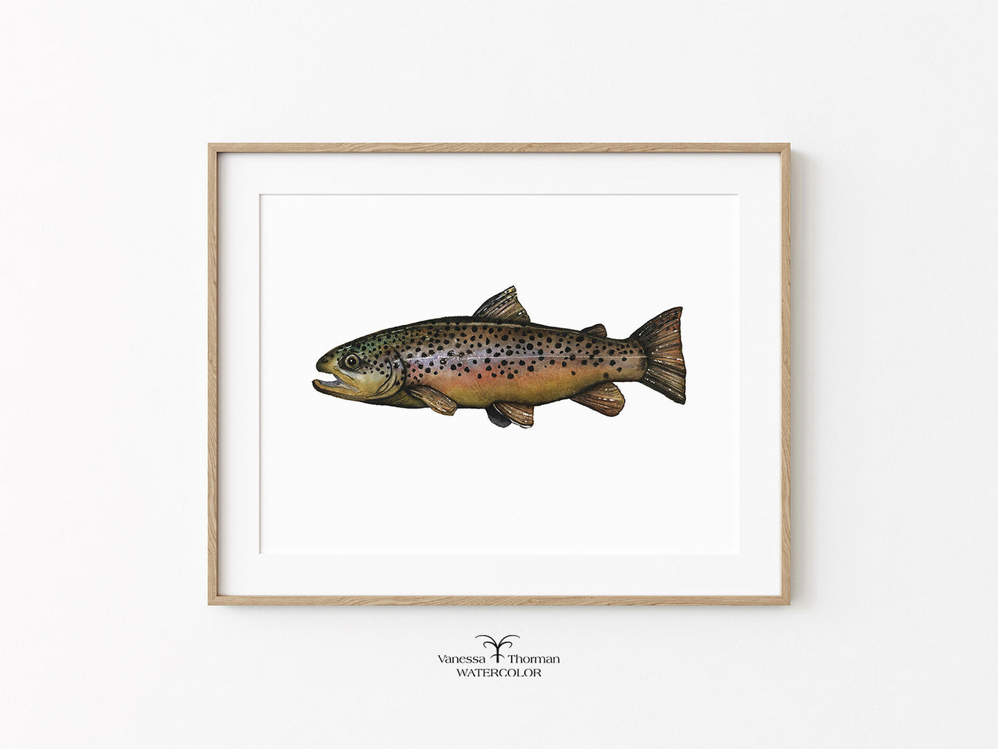 Brown Trout I | Trout Watercolor Art Print | Fish Art Giclée