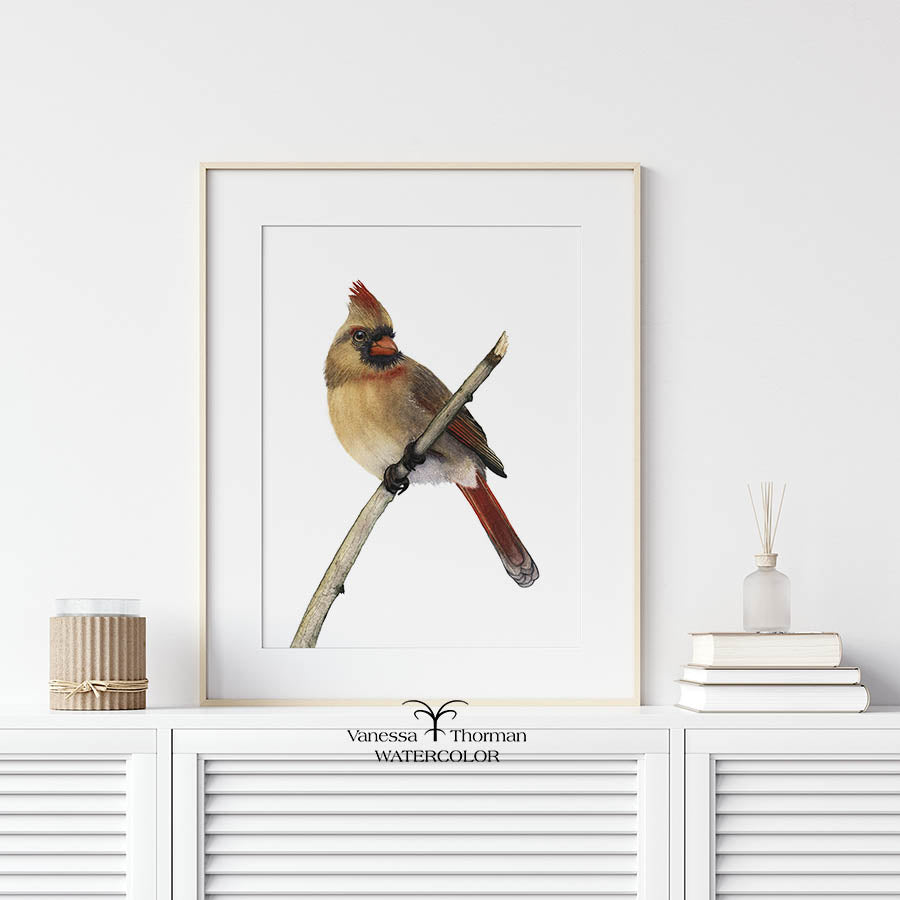 Female Cardinal Watercolor Art Print — Petunia, Northern Cardinal