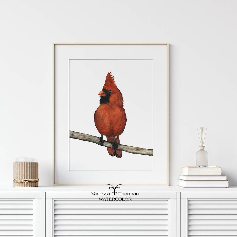 Male Cardinal Watercolor Art Print — Percy, Northern Cardinal