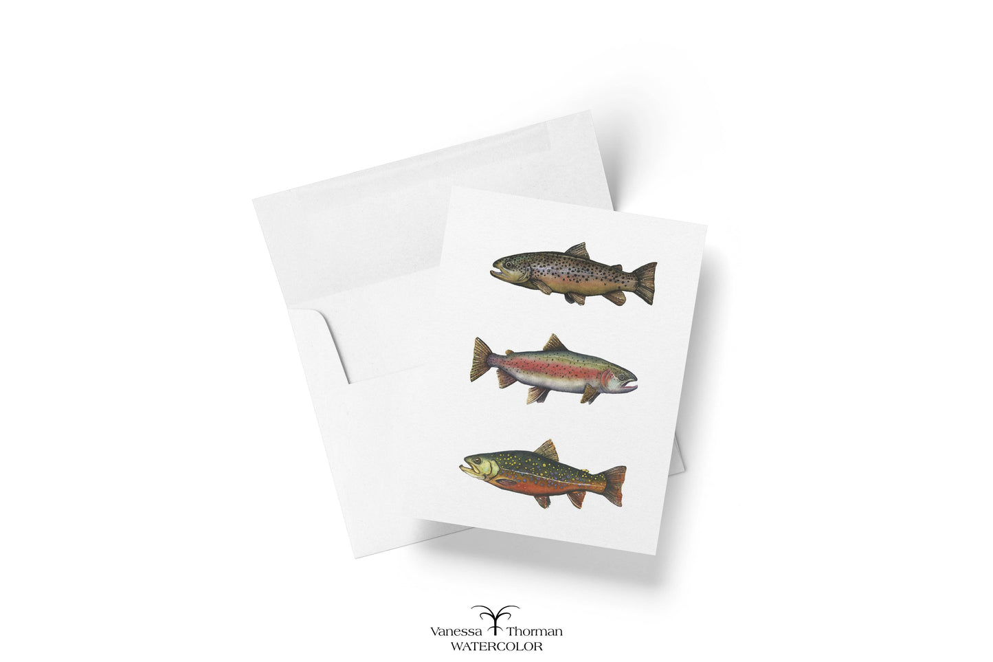 North American Trout Notecard Set featuring Brown trout, rainbow trout, and brook trout.