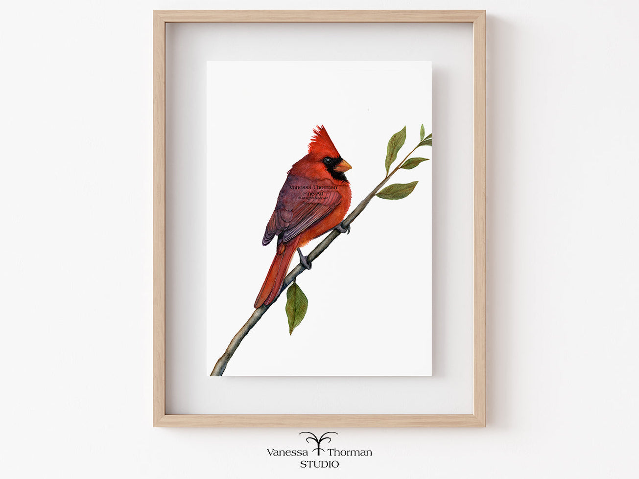 Framed Northern Cardinal watercolor art print by Vanessa Thorman